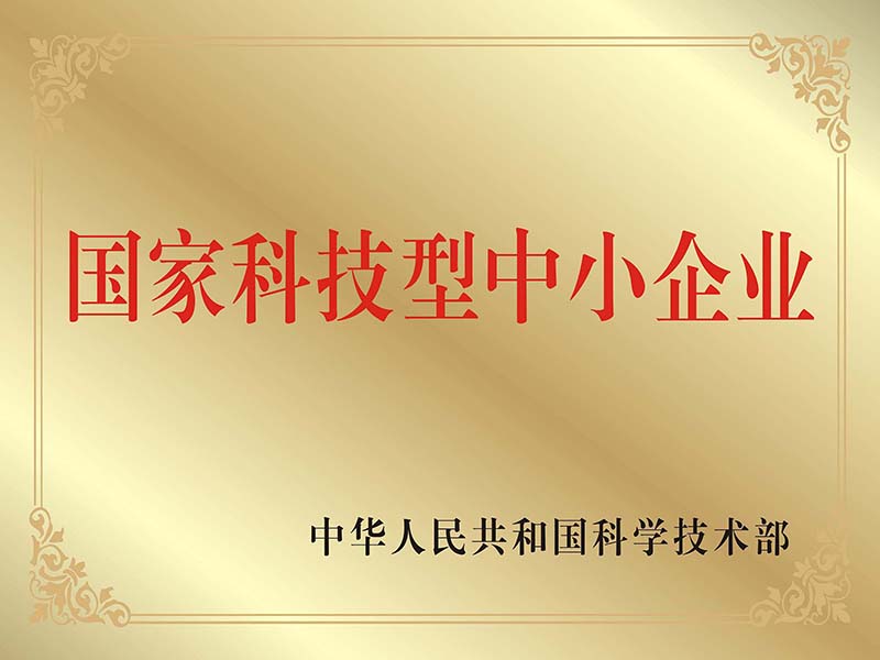 国家科技型中小企业